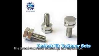 Precision Hexagonal Insert Nut and Screw Fastener Set