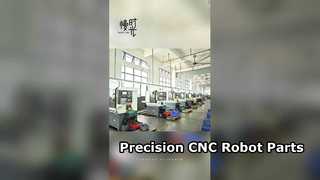 Precision CNC Stainless Steel Parts for Robotics